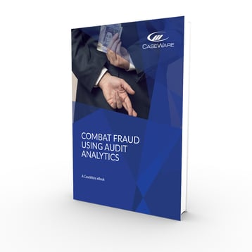 Combat Fraud using Audit Analytics 3D