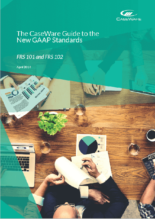 Guide to the New GAAP Standards for Financial Reporting