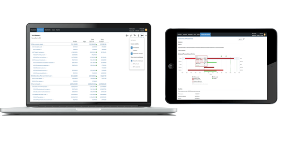 Cloud Audit software on Laptop & IPad