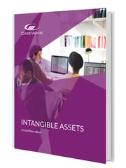 Caseware Thumbnail Intangible Assets